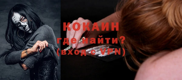 крисы Богородицк