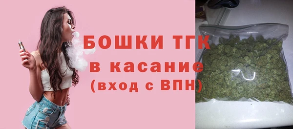 крисы Богородицк
