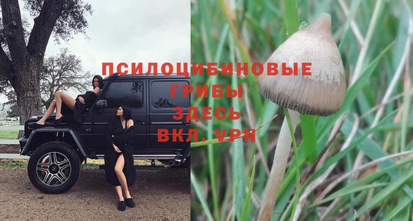 МДМА Богородск