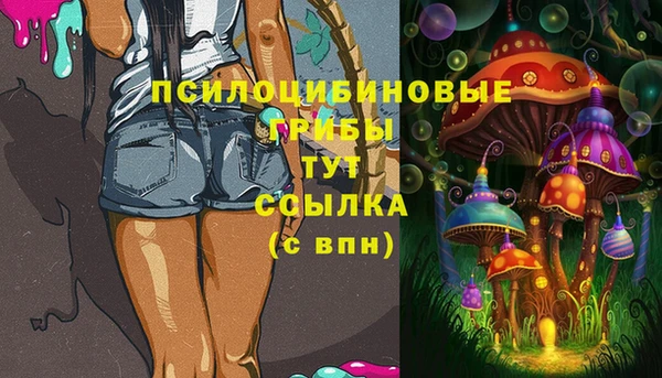 эйфоретик Белокуриха