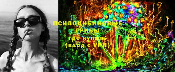 крисы Богородицк